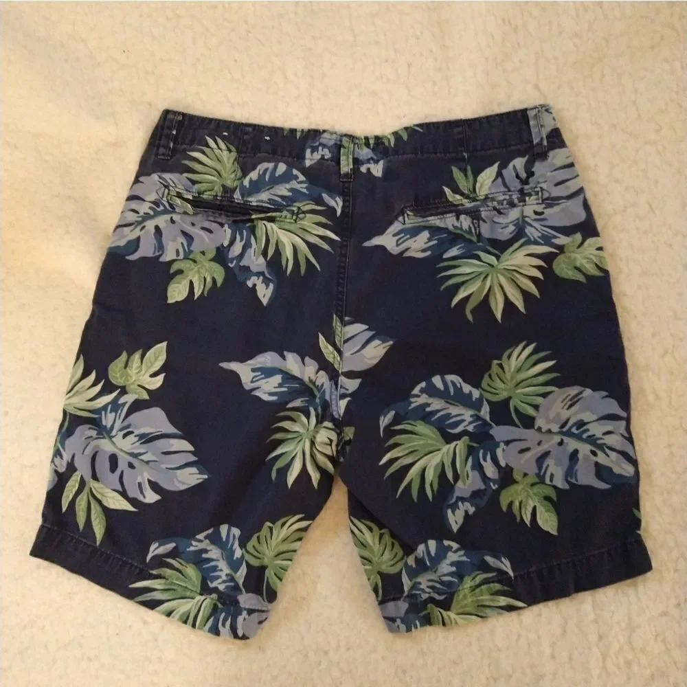 American Eagle Outfitters Chino Shorts